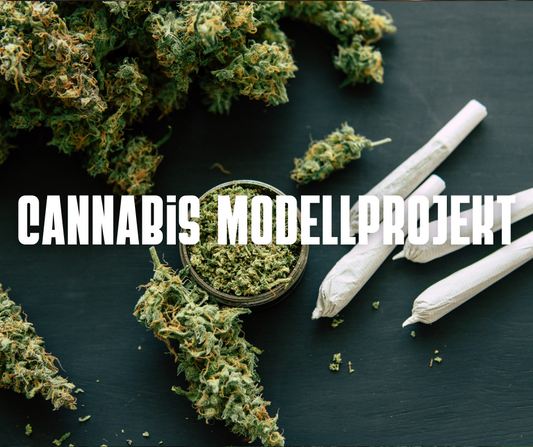 Neuer Cannabis-Beschluss: Was er für Forschung und Konsum bedeutet