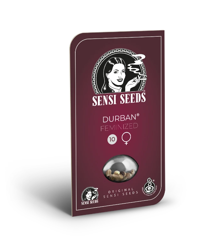 Durban (Sensi Seeds) feminisiert