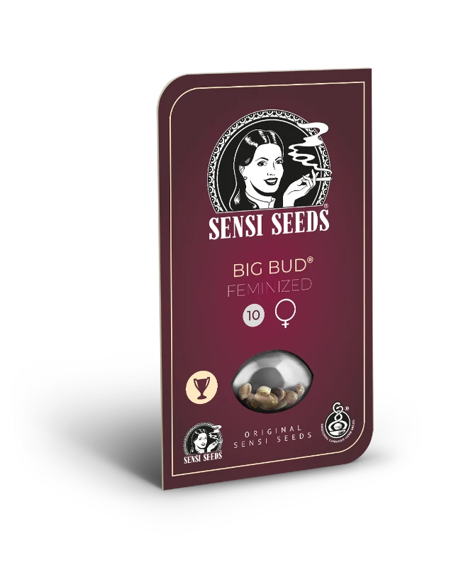 Big Bud (Sensi Seeds) feminisiert