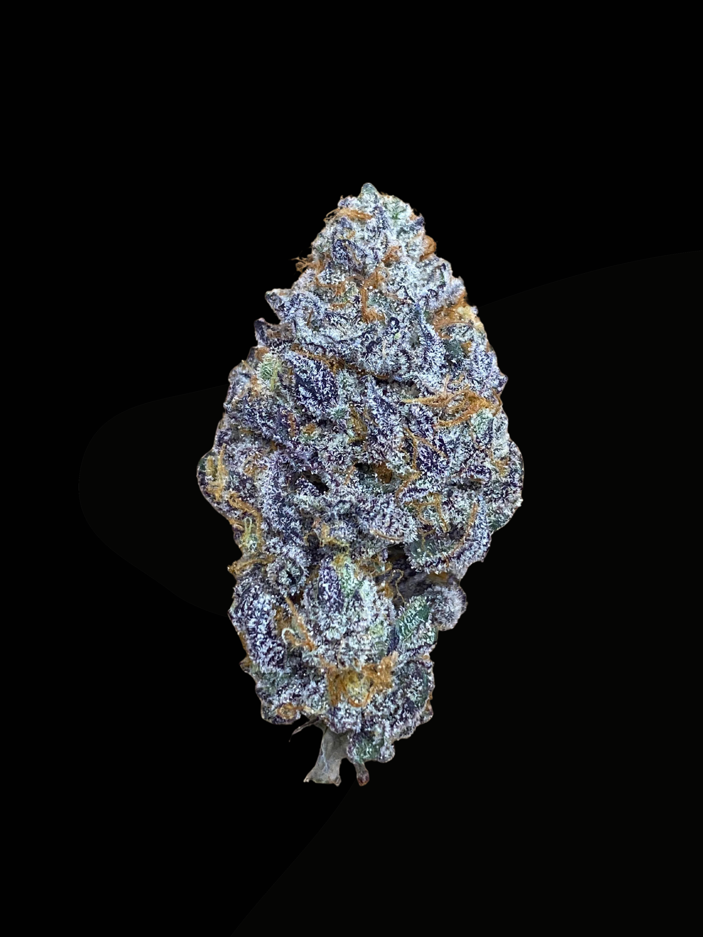 Bananacane (In House Genetics) feminisiert