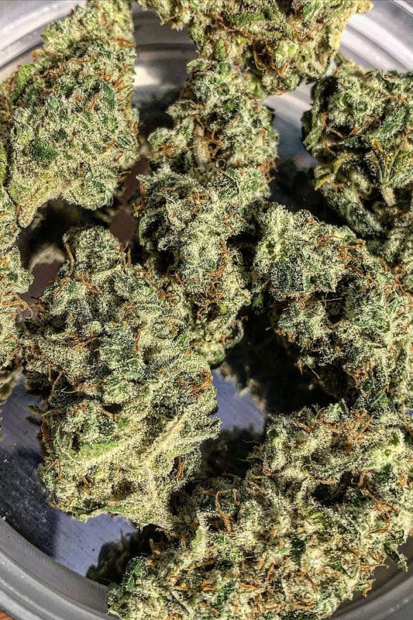 Bruce Banner Auto (Fast Buds)