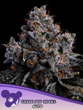 Grape Pop Rocks Auto (Anesia Seeds) Cannabis Samen von Anesia Seeds