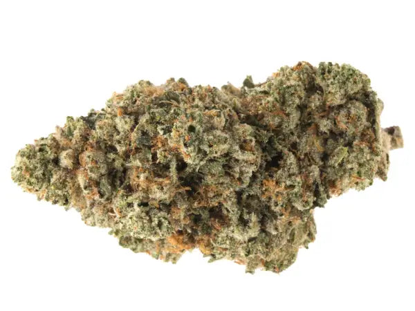 Holy Grail Kush (DNA Genetics) feminisiert Cannabis Samen von DNA Genetics
