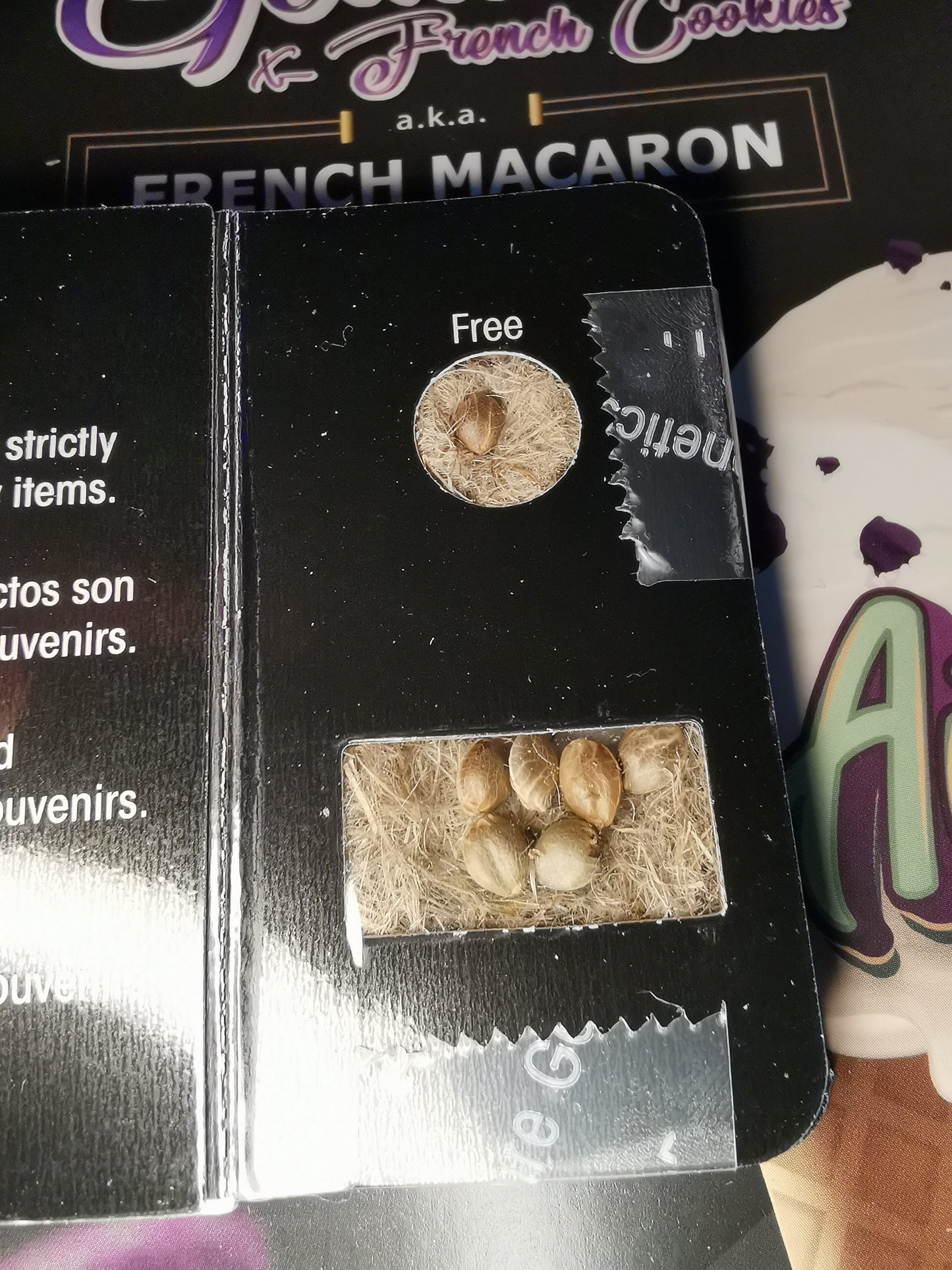 French Macaron Auto (T.H.Seeds)