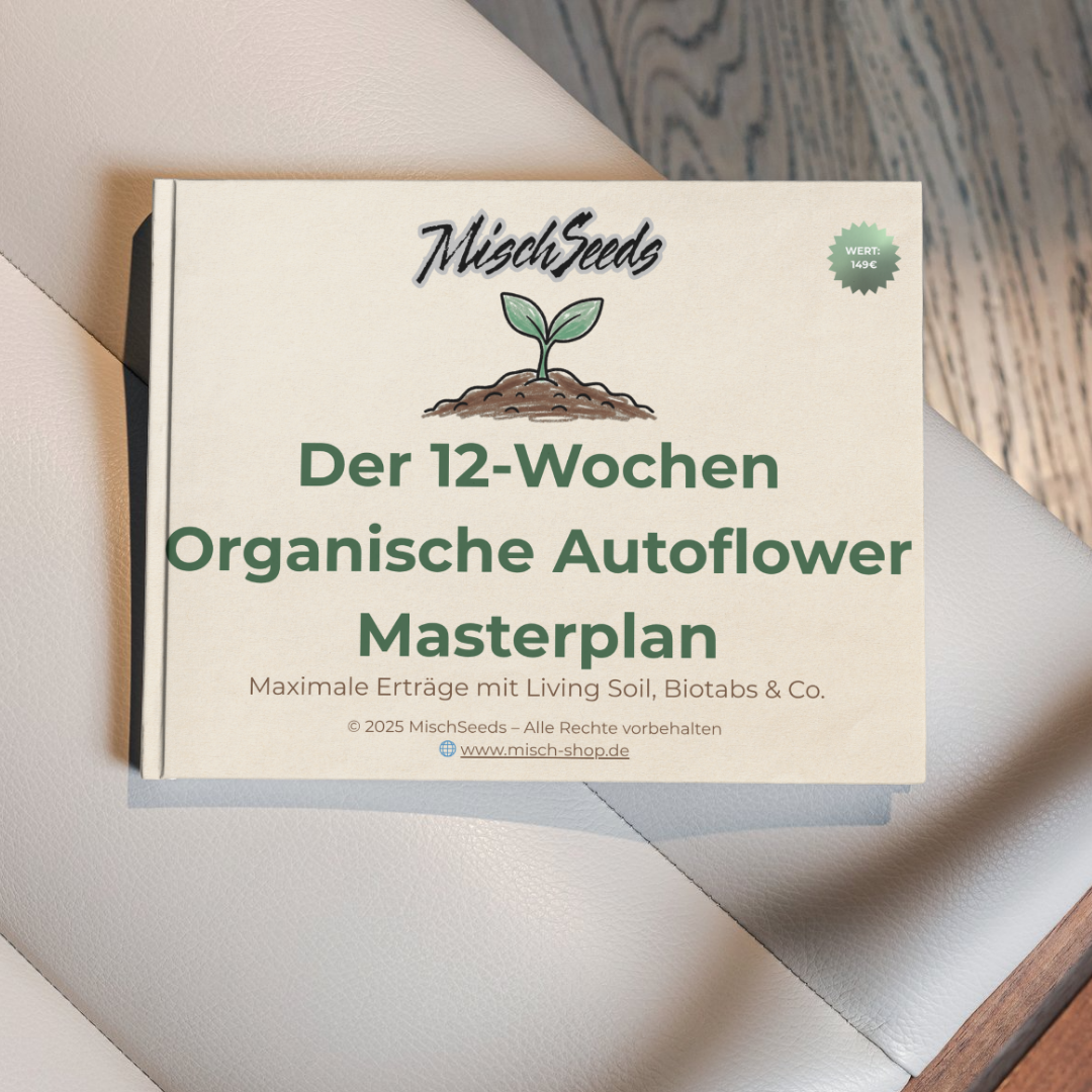 12-Wochen Organische Autoflower Masterplan