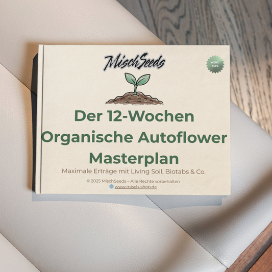 12-Wochen Organische Autoflower Masterplan