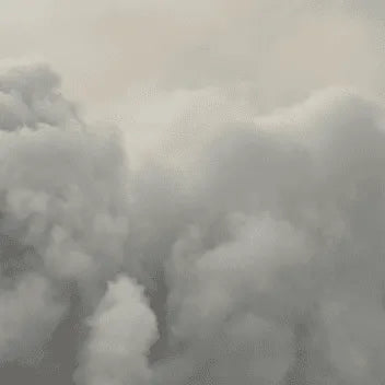 Skunk Hero RBX1 (Ethos Genetics) feminisiert