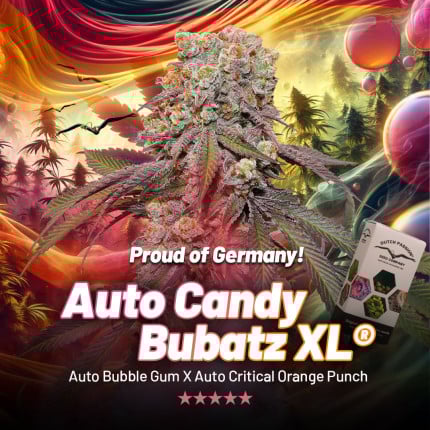 Candy Bubatz XL Auto (Dutch Passion)