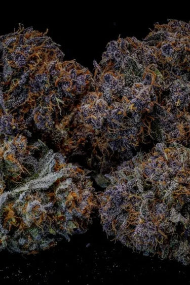 Lemon Cherry Cookies Auto (FastBuds)