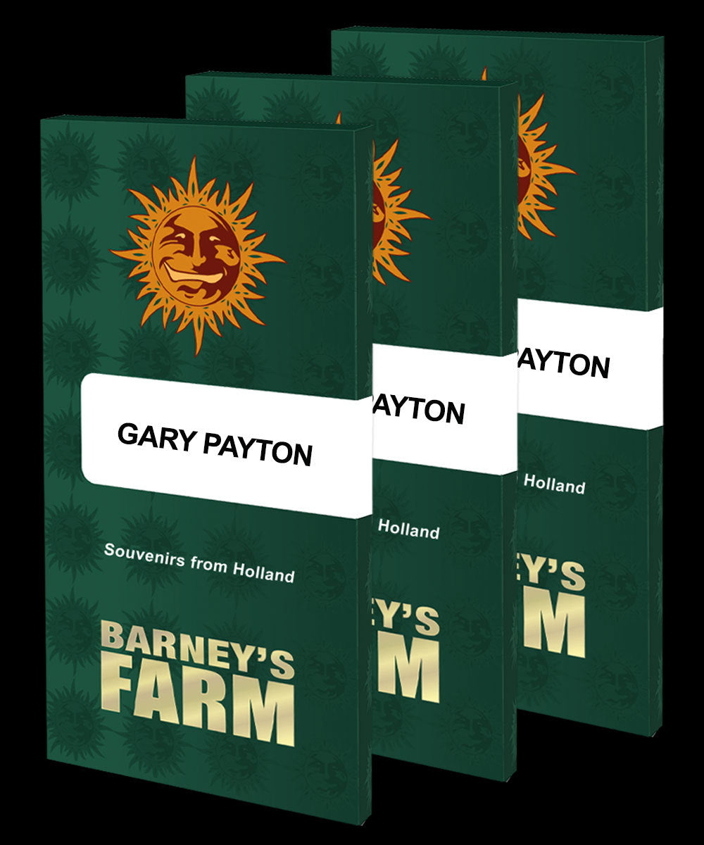 Gary Payton (Barneys Farm) feminisiert