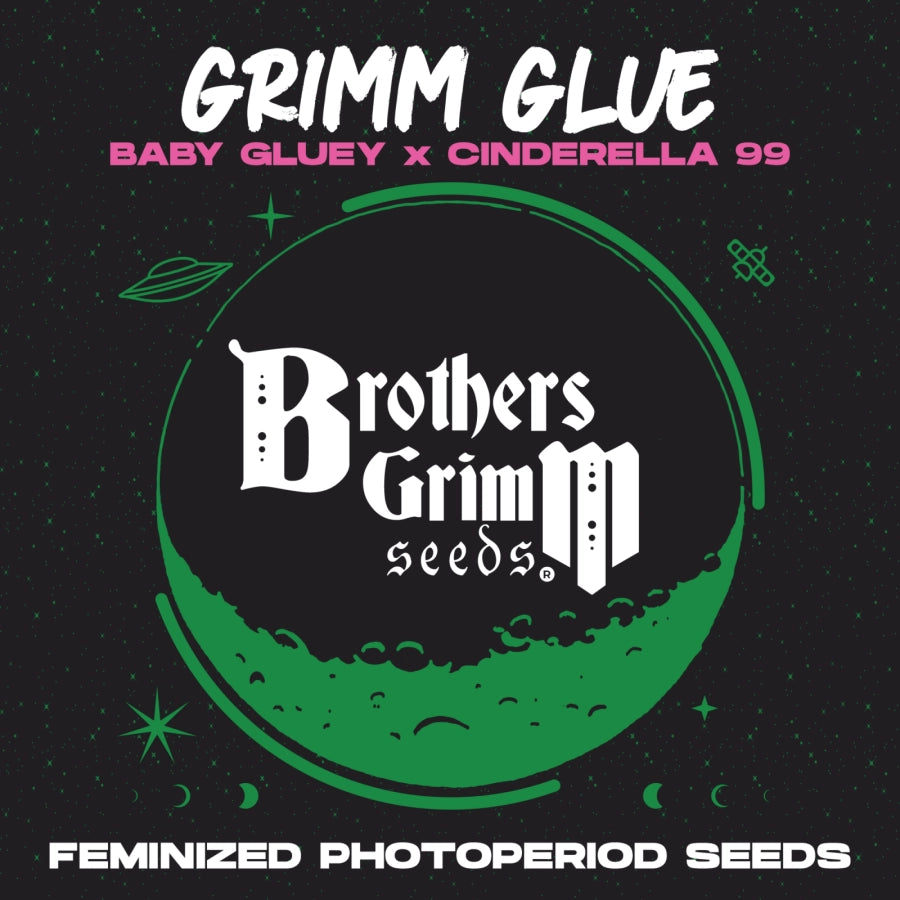 Grimm Glue (Brothers Grimm Seeds) feminisiert
