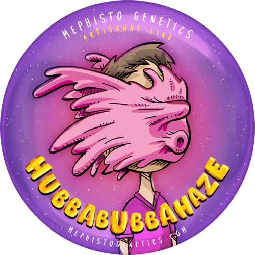 Hubbabubbahaze Auto (Mephisto Genetics)
