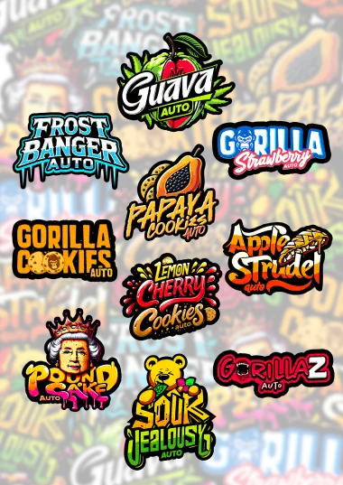 Mix Pack Auto (FastBuds)