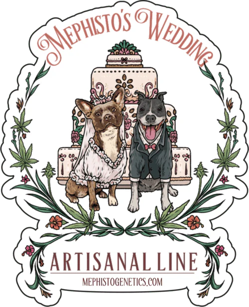 Mephistos Wedding Auto (Mephisto Genetics)