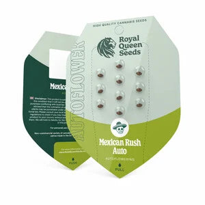 Mexican Rush Auto (Royal Queen Seeds)