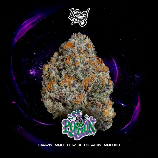 Potion (Wizard Trees) feminisiert Cannabis Samen von Wizard Trees