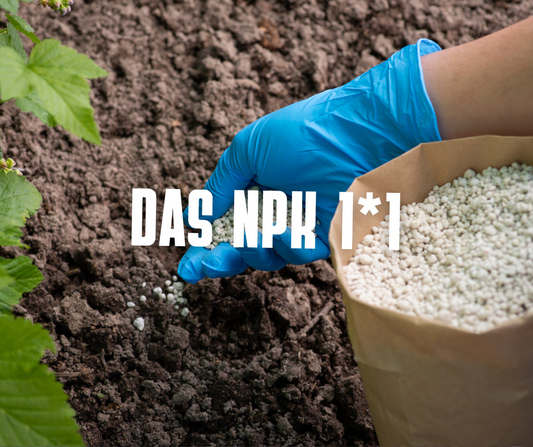 Das 1x1 der Nährstoffe im Cannabisanbau: Was deine Pflanzen wirklich brauchen – Ein Guide von Misch Seeds