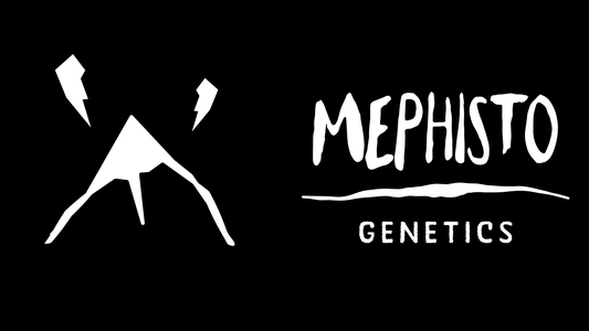Mephisto Drop