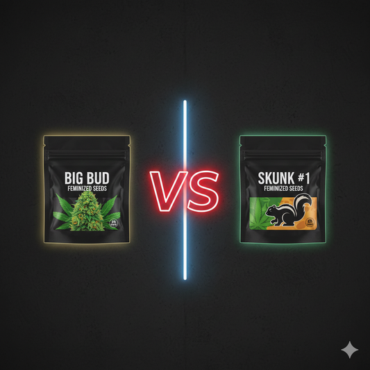 Big Bud vs. Skunk #1