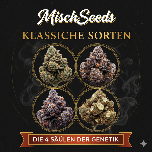 MischSeeds Klassiker: Die 4 historischen Säulen der Genetik in einer Kollektion