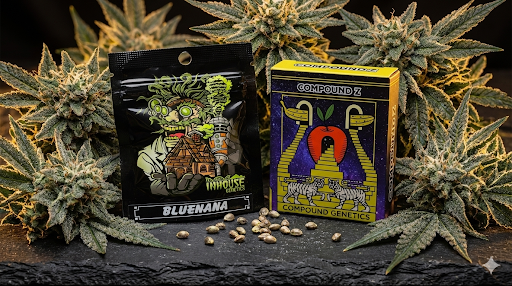 In House Genetics vs. Compound Genetics