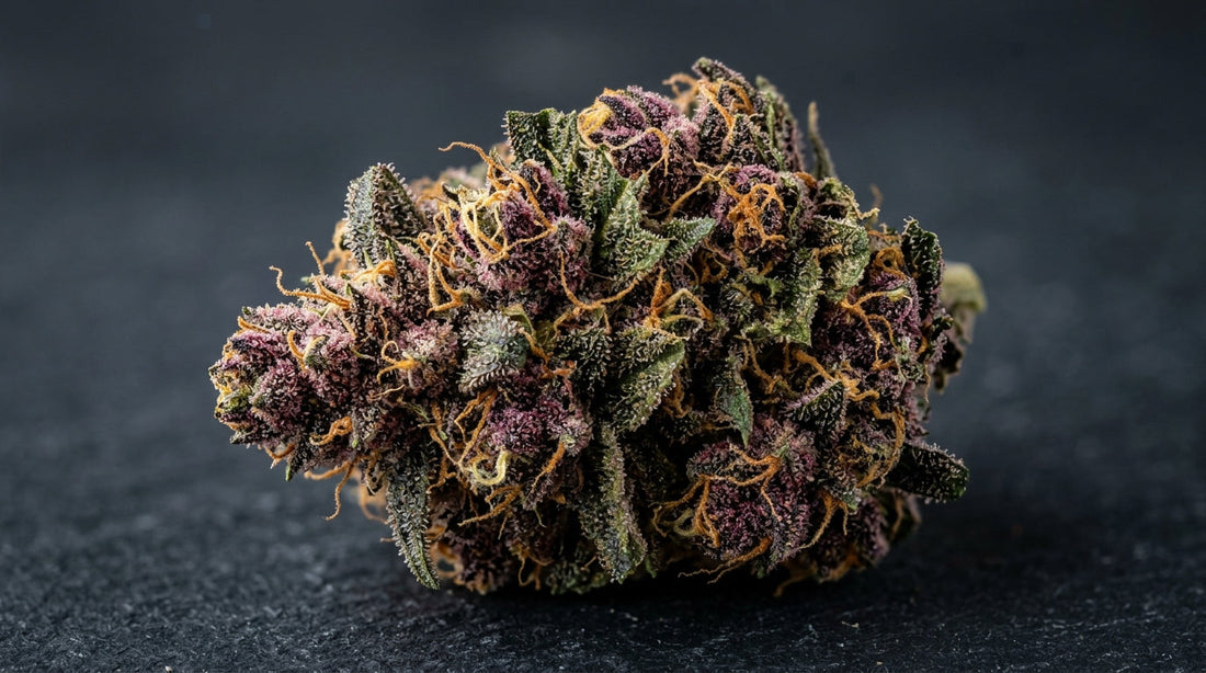 Banana Purple Punch Auto: Wie FastBuds die 26% THC-Grenze bei Autoflowern pulverisierte