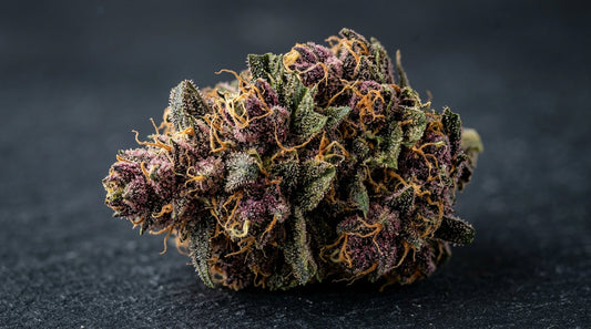 Banana Purple Punch Auto: Wie FastBuds die 26% THC-Grenze bei Autoflowern pulverisierte