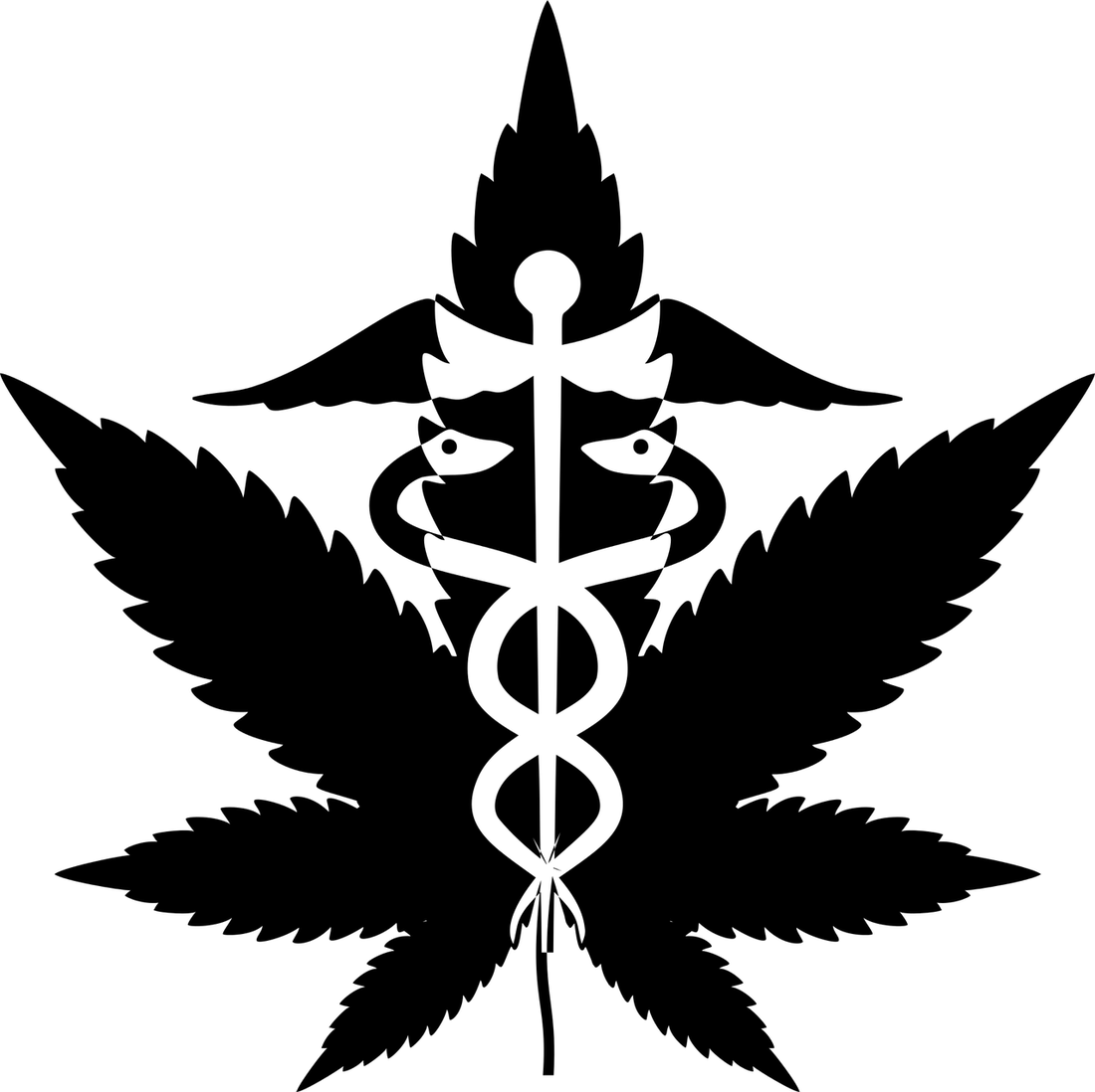 Cannabis in der Medizin: Was du wissen musst