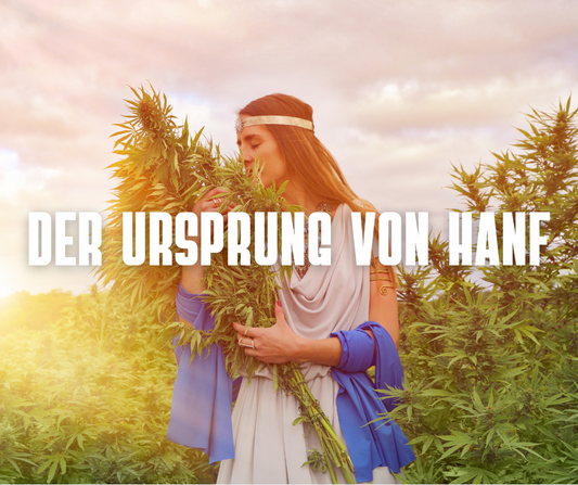 Die Ursprungsgenetiken von Cannabis: Eine Reise in die Vergangenheit