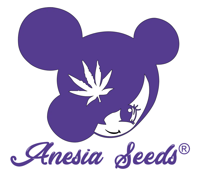 Anesia Seeds Drop