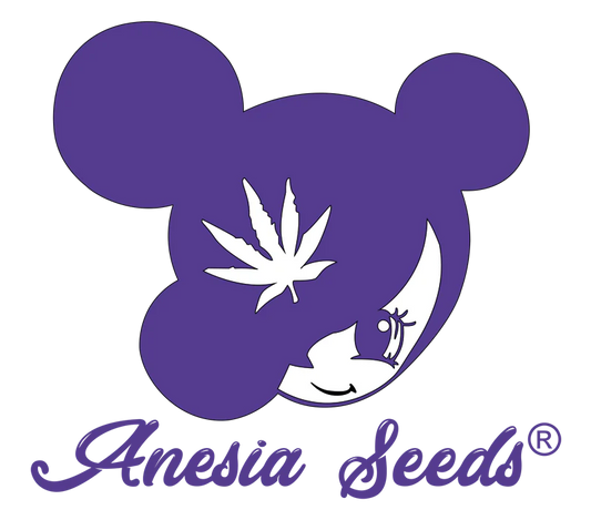 Anesia Seeds Drop