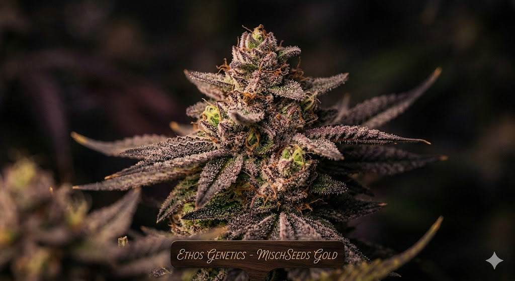 Ethos Genetics Deep Dive