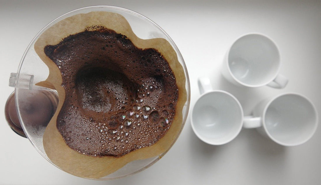 Kaffeesatz beim Cannabis-Anbau: So verwendest du ihn richtig