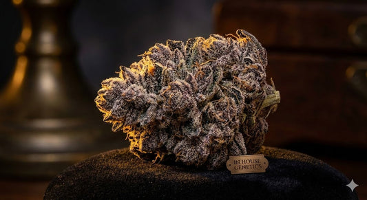 Warum du mit Standard-Genetik Zeit verschwendest