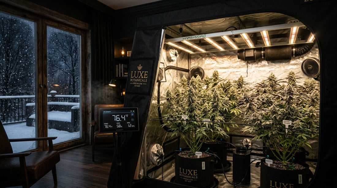 Cannabis Indoor im Winter anbauen: Der ultimative Setup-, Heizungs- & Sorten-Guide