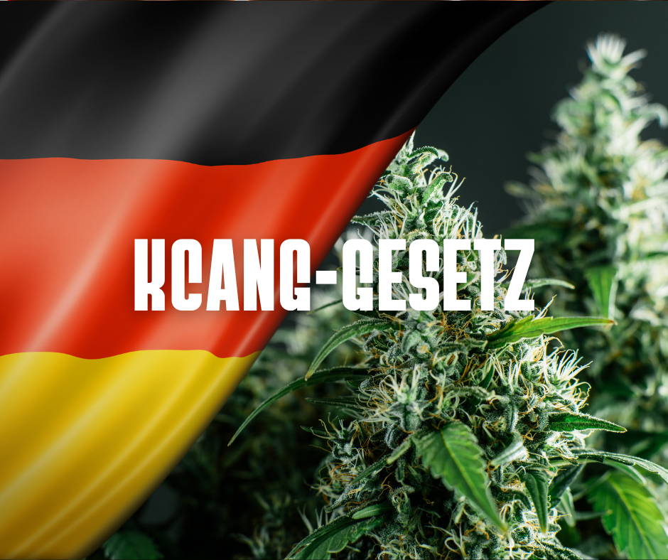 Das neue Cannabisgesetz (CanG)