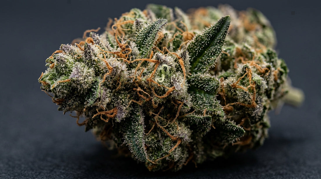 Mandarin Cookies V2: Die Züchter-Story hinter Ethos Genetics & dem Orangen-Treibstoff-Profil