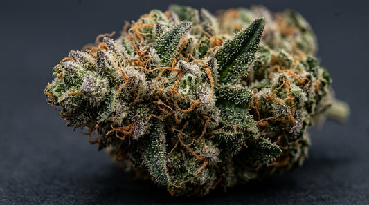Mandarin Cookies V2: Die Züchter-Story hinter Ethos Genetics & dem Orangen-Treibstoff-Profil