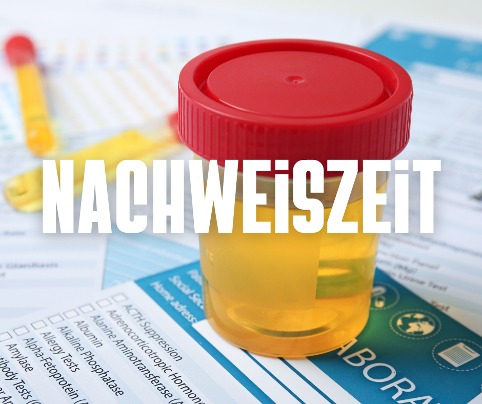 Wie lange ist Cannabis im Urin nachweisbar?