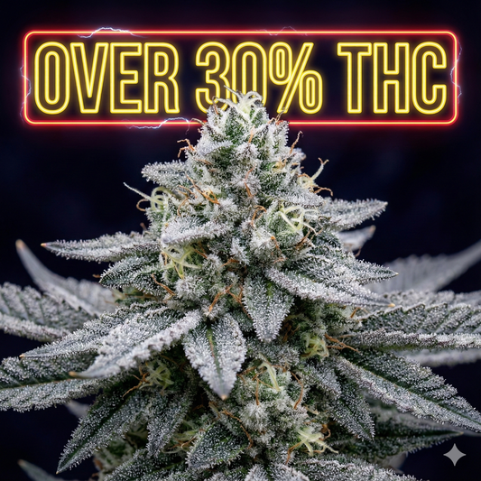 💥 TOP 5 Sorten mit über 30% THC