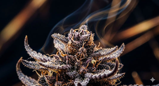 Die Terpen-Revolution 2026