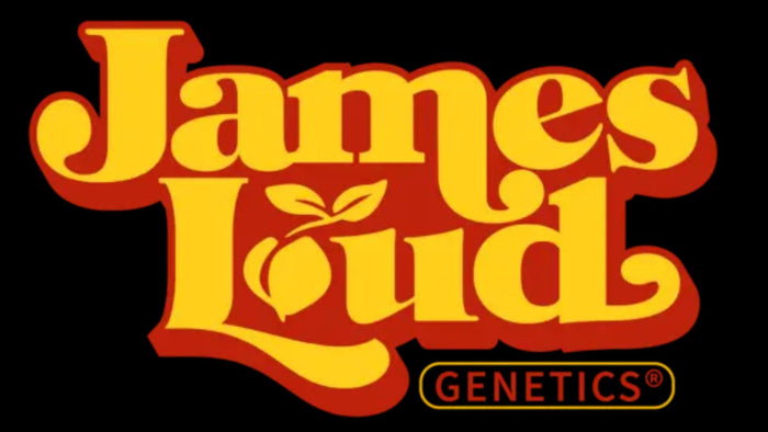 James Loud Genetics Samen kaufen