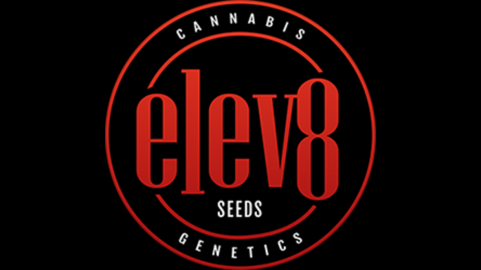 Elev8 Seeds Buy