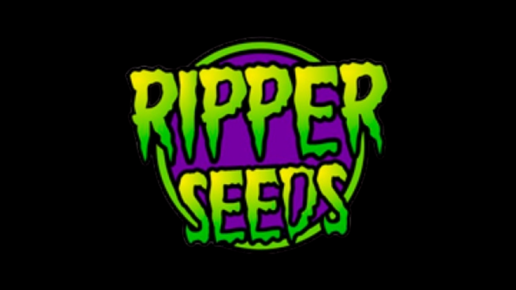Elev8 Seeds