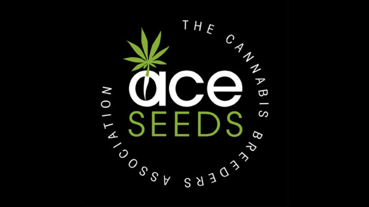 Ace Seeds kaufen