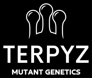 Terpyz Mutant Genetics kaufen