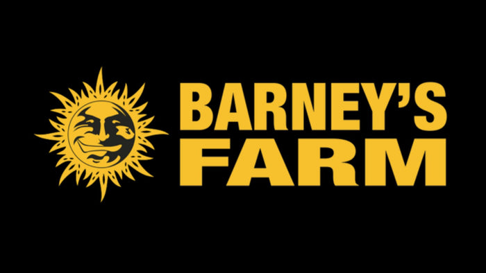 Buy Barney's Farm Seeds