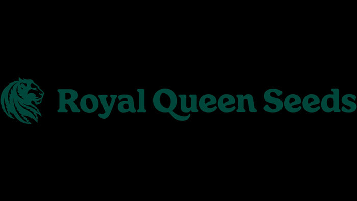 Royal Queen Seeds