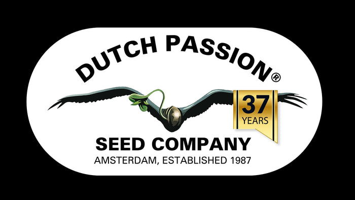 Dutch Passion
