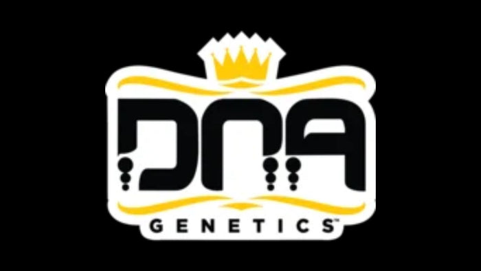 DNA Genetics